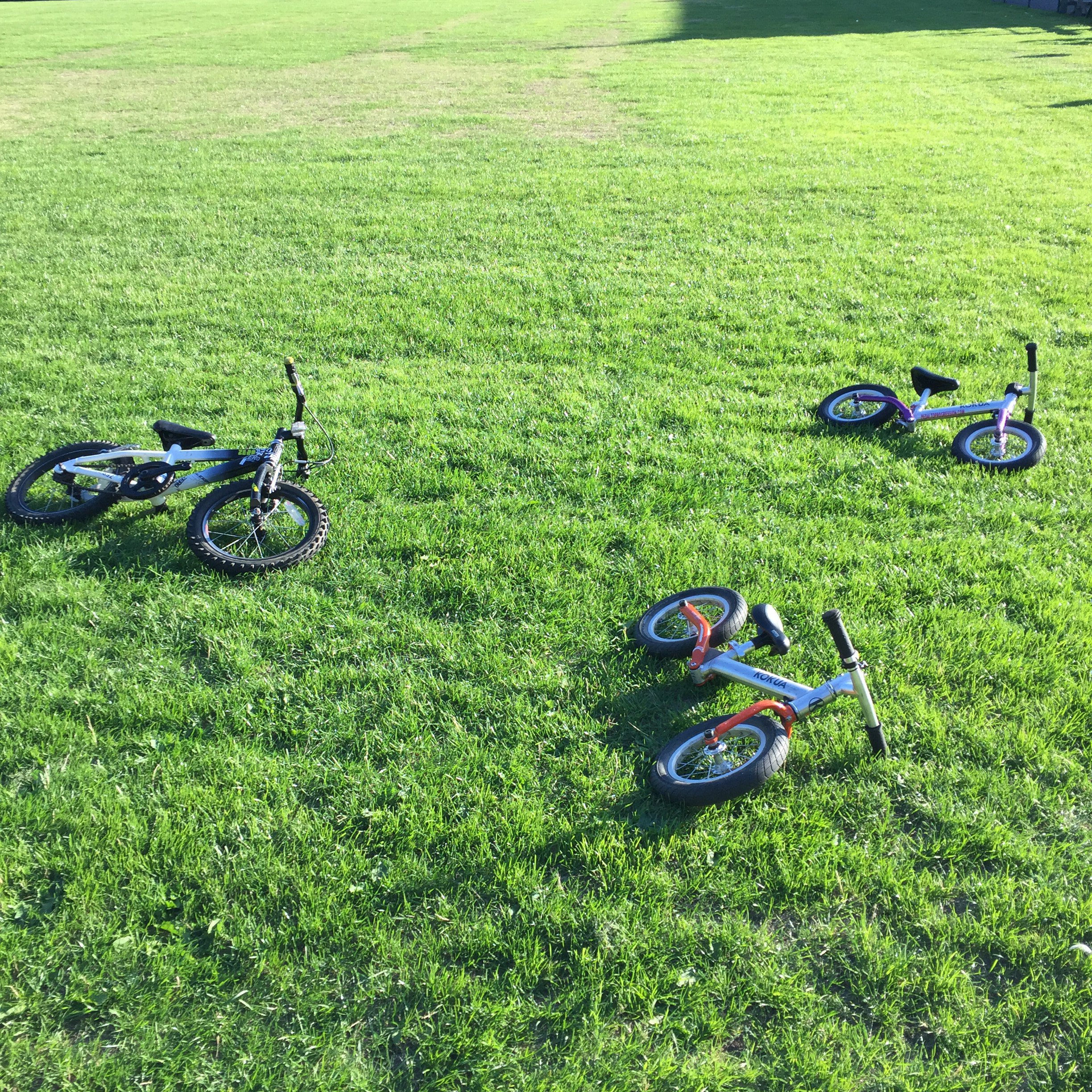 Teaching your child how to ride a bike!