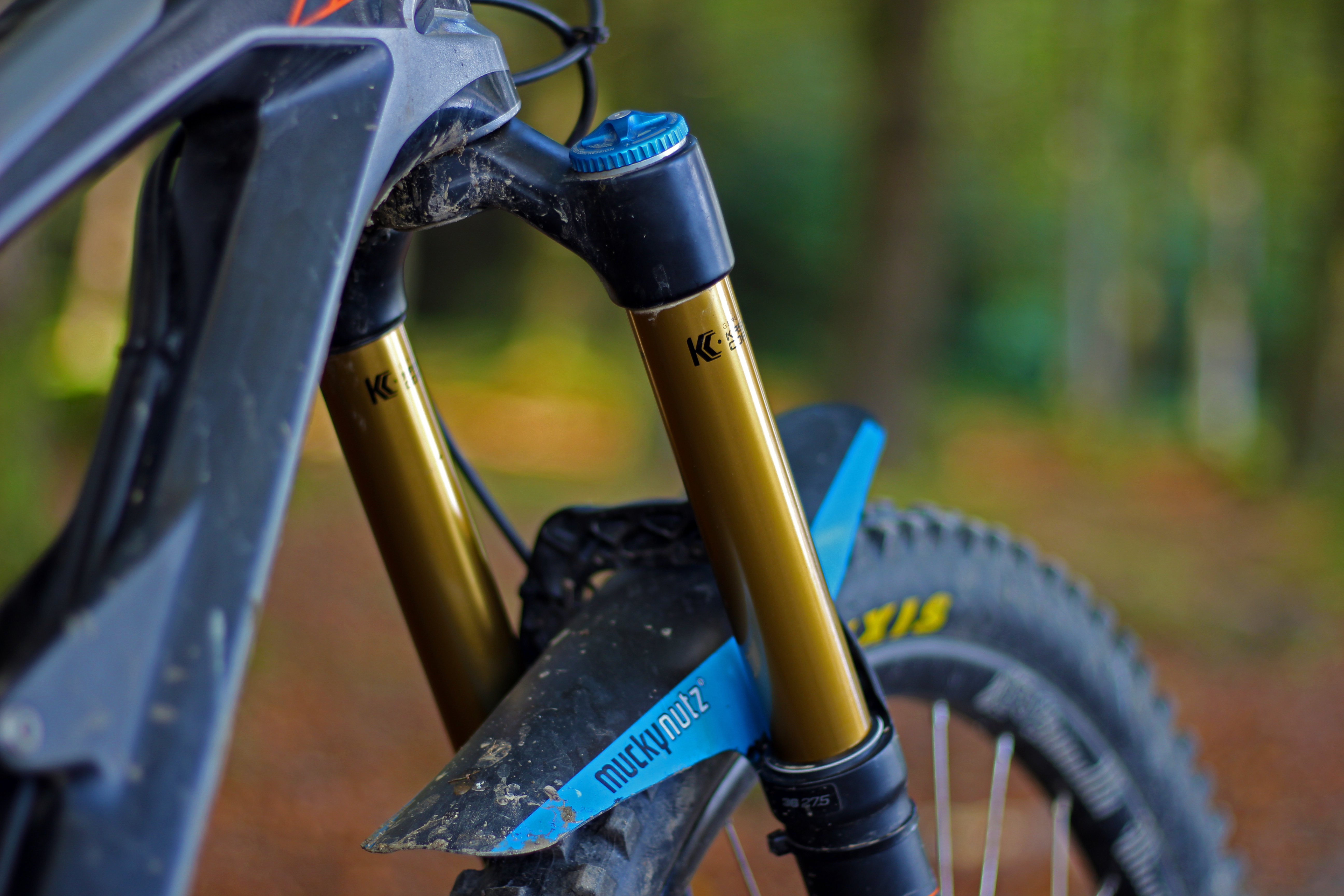 Why you NEED a personalised suspension setup!